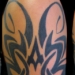 tattoo galleries/ - tribal tattoo